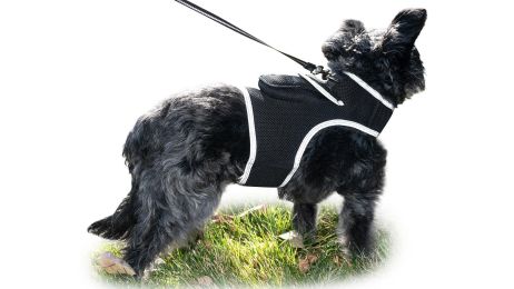 Advanced Motion Detect Realtime Pocket Animal GPS Tracker Pet Locator Size:L